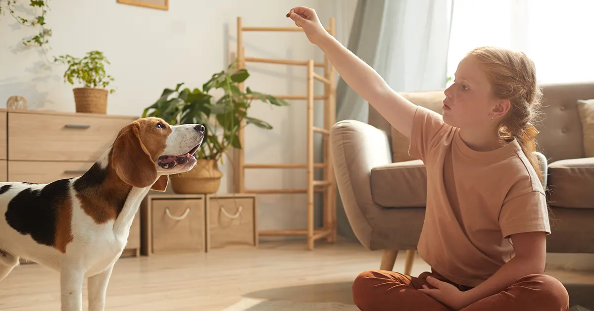 Ein junges Mädchen spielt mit einem Beagle-Hund in einem Wohnzimmer, während sie Klumpstreu für Katzen für die Katzentoilette ihres Haustiers verwendet.