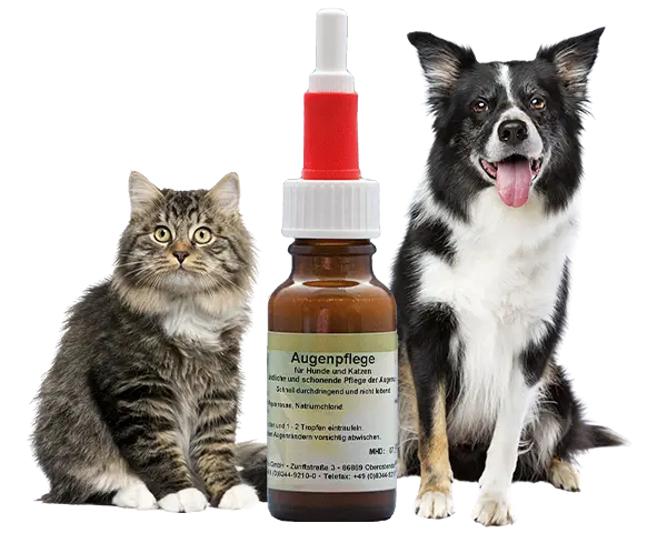 Ein Hund und eine Katze neben einer Flasche Reico Augenpflege zur Behandlung von Entzündungen am Auge