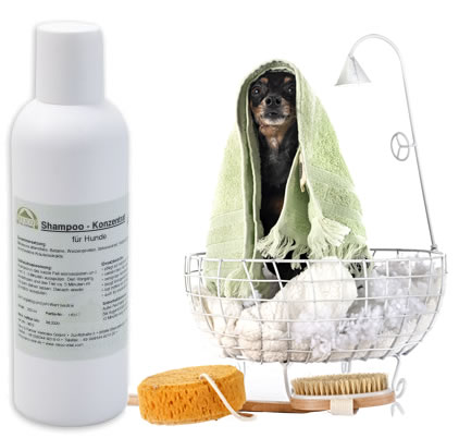 Ein Hund in einem Korb mit einer Flasche Reico Shampoo Konzentrat und einem Handtuch.